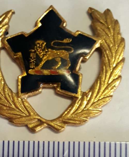 SA Navy 5 YEAR VOLUNTEER BREAST BADGE